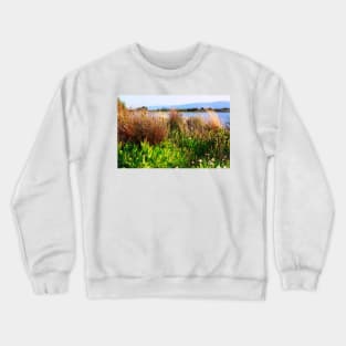 Wild Meadow by the Lake. Shoreline Park 2011 Crewneck Sweatshirt